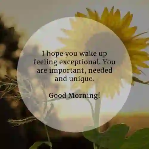  wake up of I hope you wake up feeling exceptional. You are important..